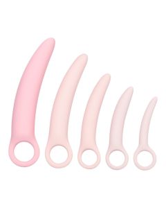 Inspire Dilator Set – Expansionsset